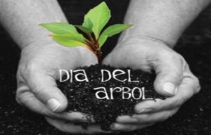 dia del arbol
