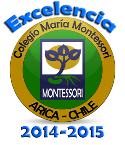 logo excelencia 3